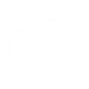 Icona bacche di mirto e lentisco